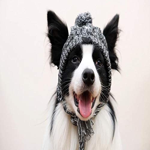 polar pom pom hat for dogs